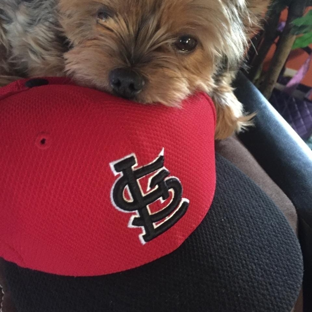 Meet your Posher, Pam